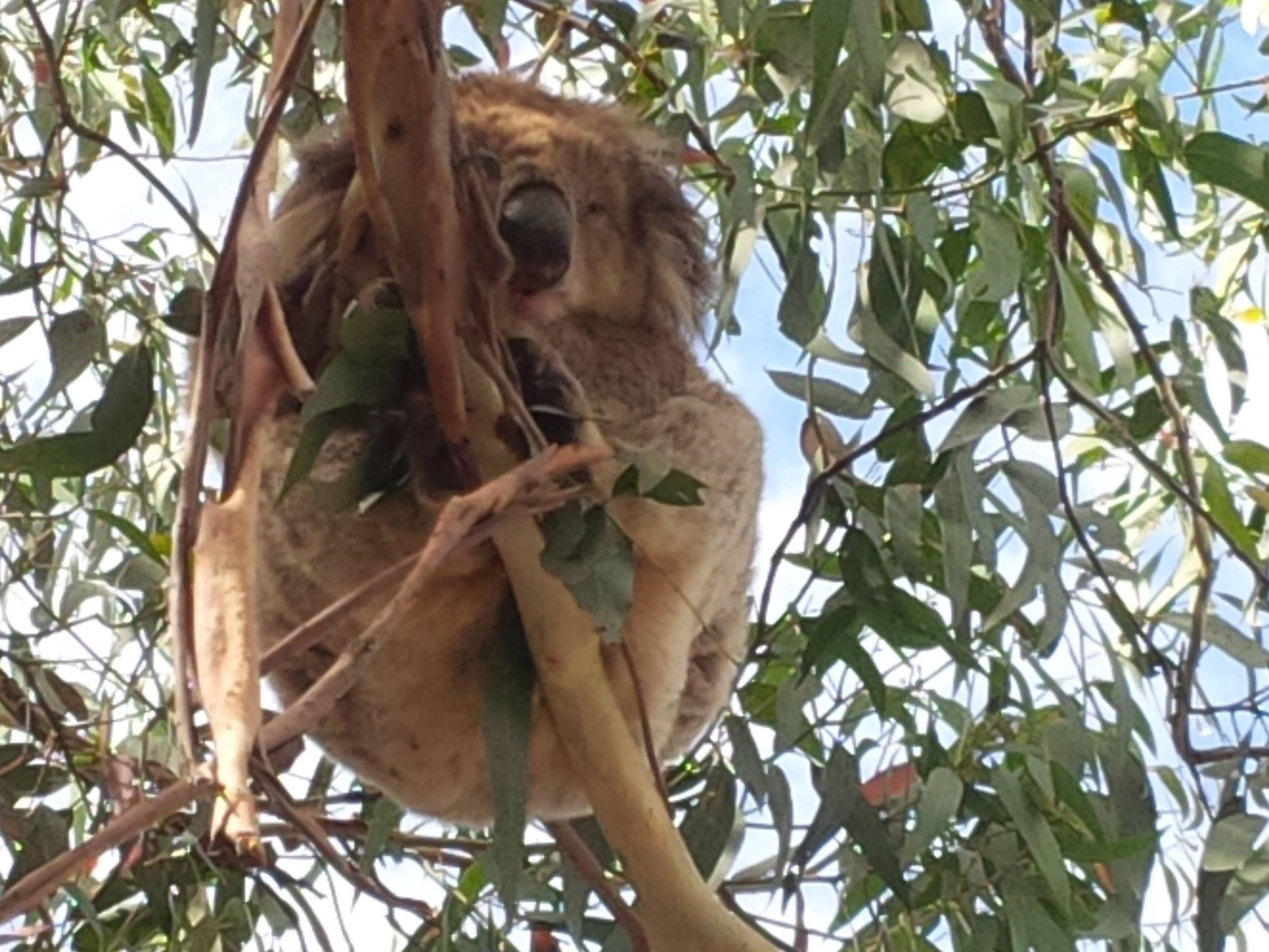 10387003_10155409475235414_118529351187617190_o